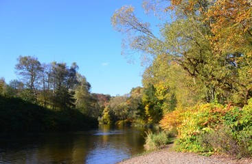 Fototapeta na wymiar Herbst am Fluss - goldener Oktober