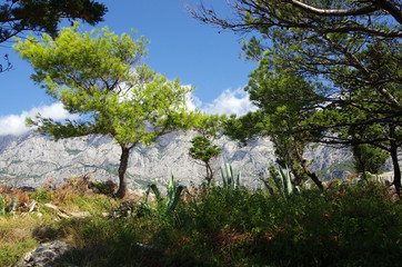 Widok górski © Patdrig Torc