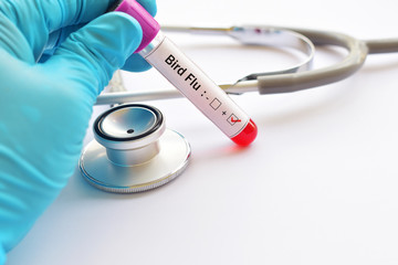 Blood sample positive with Bird Flu