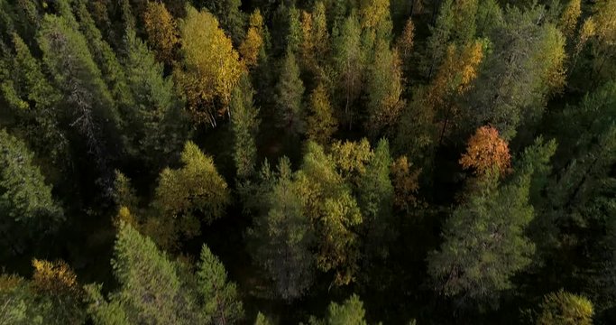 Autumn color forrest, Cinema 4k aerial tilt view over colorful autumn trees, revealing fjeld tunturi mountains, on a sunny and rainy fall day, near pallas-yllas national park, Lapland, Finland