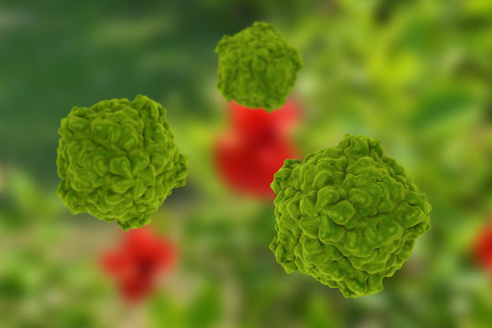 Tobacco ringspot viruses on colorful background, 3D illustration 