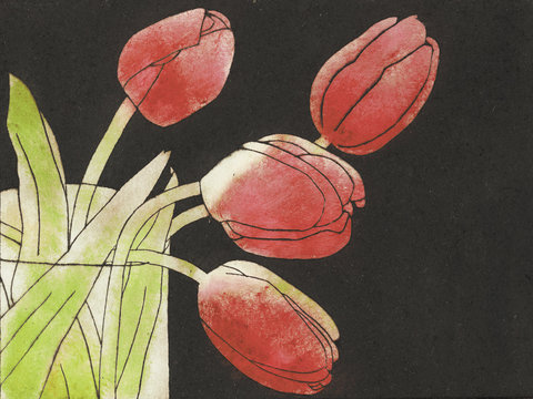 Red tulips in vase