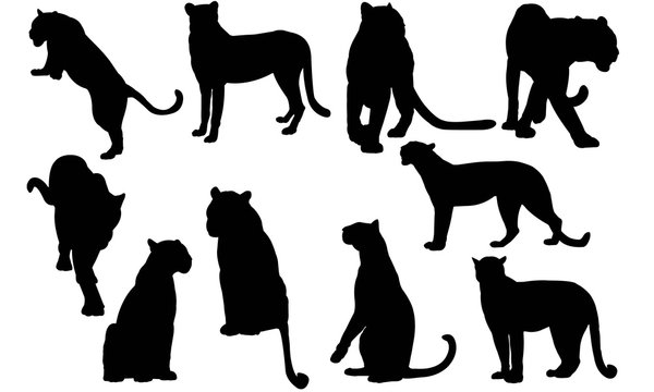 Leopard Silhouette Vector Graphics 