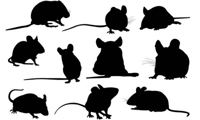 Mouse Silhouette Vector Graphics 