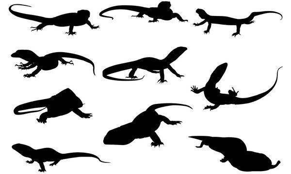 Monitor Lizard Silhouette Vector Graphics 