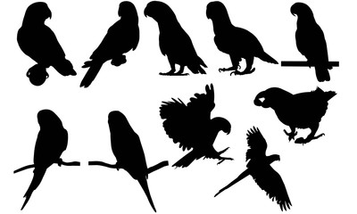 Parakeet Silhouette Vector Graphics 