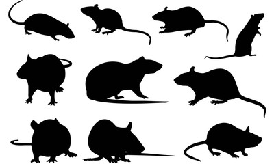 Rat Silhouette Vector Graphics 