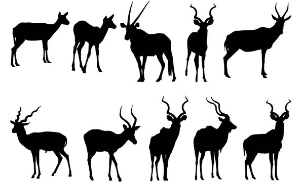 Antelope Silhouette Vector Graphics 