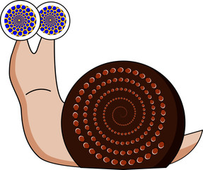 Hypnotic snail with tunnel & spiral optical illusion