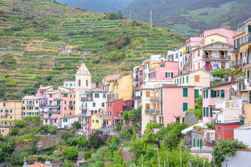 Beautiful view to Manarola city in mountains of Cinque Terre