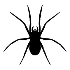 Vector silhouettes of spider