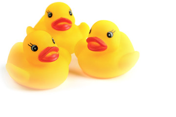 three rubber yellow ducks