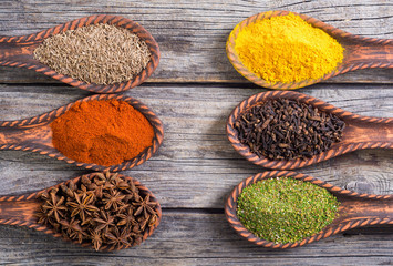 Colection of indian spices