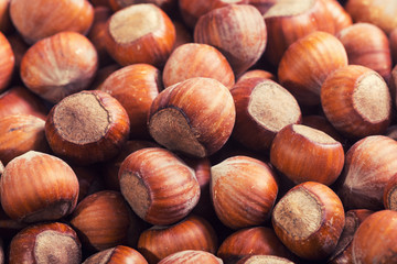 Group of hazelnuts