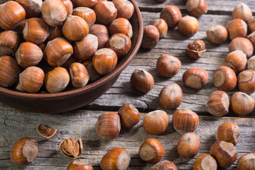Group of hazelnuts
