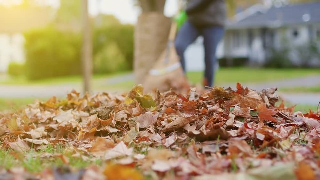 Woman Raking Leaves With Leaves in Foreground Move Left. a low angle view of a pile of leaves with a woman raking in the background. Focus on foreground leaves moving left