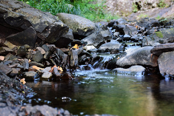 Nature
