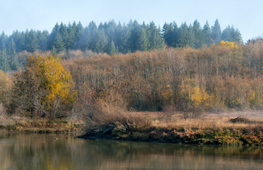 Foggy Morn At Mud Bay