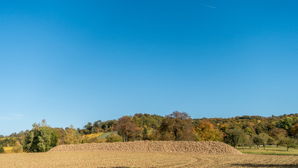 Obraz premium Zuckerrüben geerntet