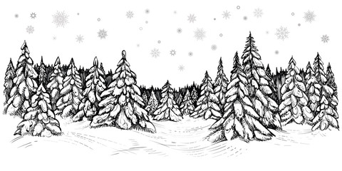 Naklejka premium Wektorowa ilustracja śnieżne jodły. Zimowy las pokryty śniegiem, ręcznie rysowane szkic.
