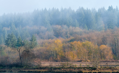 Foggy Morn At Mud Bay