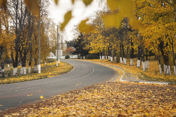 Obraz premium droga i jesień