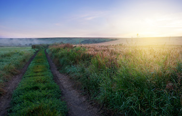 Obraz premium Foggy summer morning.Landscape with ground country road at sunrise.Dew in the grass. 