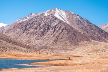 A photographer taking photos at the lake with mountains view and blue sky background