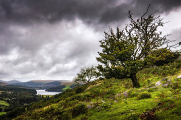 National Park in Wales in Summer in the Hills of the Countryside