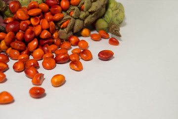 Red bright magnolia seed in green pods