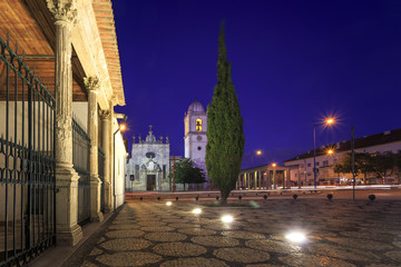 Aveiro city cathedral by night in Portugal