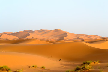 Fototapeta na wymiar Merzouga sand dunes in evening sun, Morocco