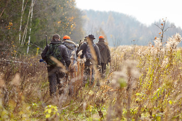 group of hunters during hunting in forest, chase hunting - 179876169