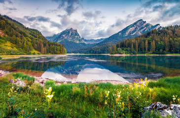 Misty summer landscape on the Obersee lake