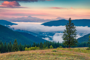 Colorful summer sunrise in the Carpathian mountains.