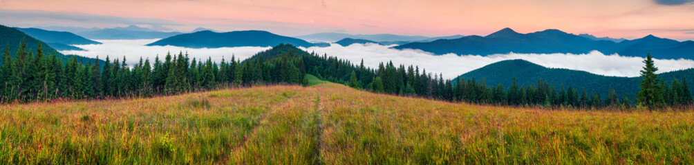 Naklejka na ściany i meble Foggy morning panorama of Carpathian mountains.