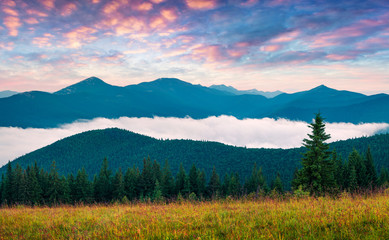 Colorful summer sunrise in the Carpathian mountains