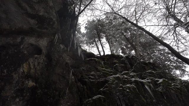 Icicles hanging from a cliff covered with moss