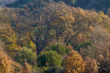 Autumn hills