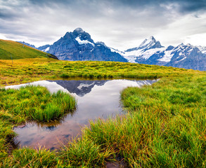 Naklejka na ściany i meble Dramatic summer view with a Mt. Schreckhorn and Wetterhorn on the background. Green morning scene in the Swiss Bernese Alps, Switzerland, Europe. Beauty of nature concept background..