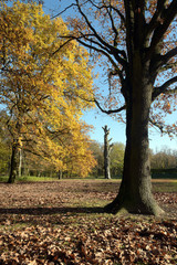 volkspark jungfernheide