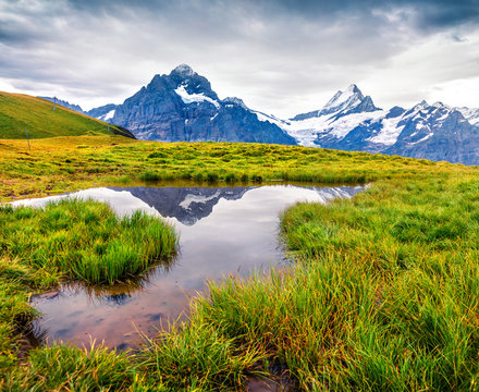 Dramatic summer view with a Mt. Schreckhorn and Wetterhorn on the background. Green morning scene in the Swiss Bernese Alps, Switzerland, Europe. Beauty of nature concept background..