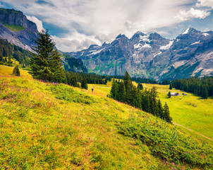 Obraz premium Sunny summer view of thmountain valley from the Oeschinen Lake.