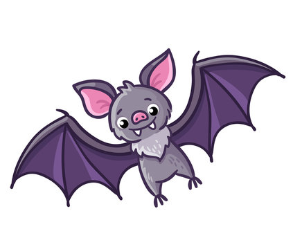 Bat on a white background. Vector illustration in a cartoon style.