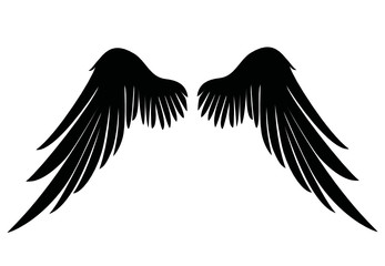 Silhouette wings. Vector illustration on white background. Black and white style