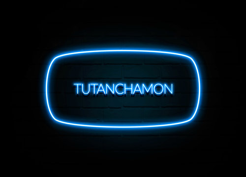 Tutanchamon  - colorful Neon Sign on brickwall