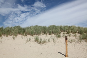 Protection des dunes.