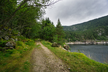 France - Walking path through forest next to lake in french vosges called lac noir
