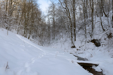 winter snow-covered forest with ravine and stream
