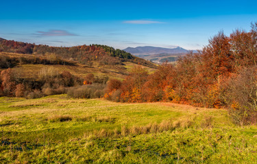 mountainous rural area in late autumn. trees with reddish foliage on green grassy hills. mountain ridge with high peak in the distance © Pellinni